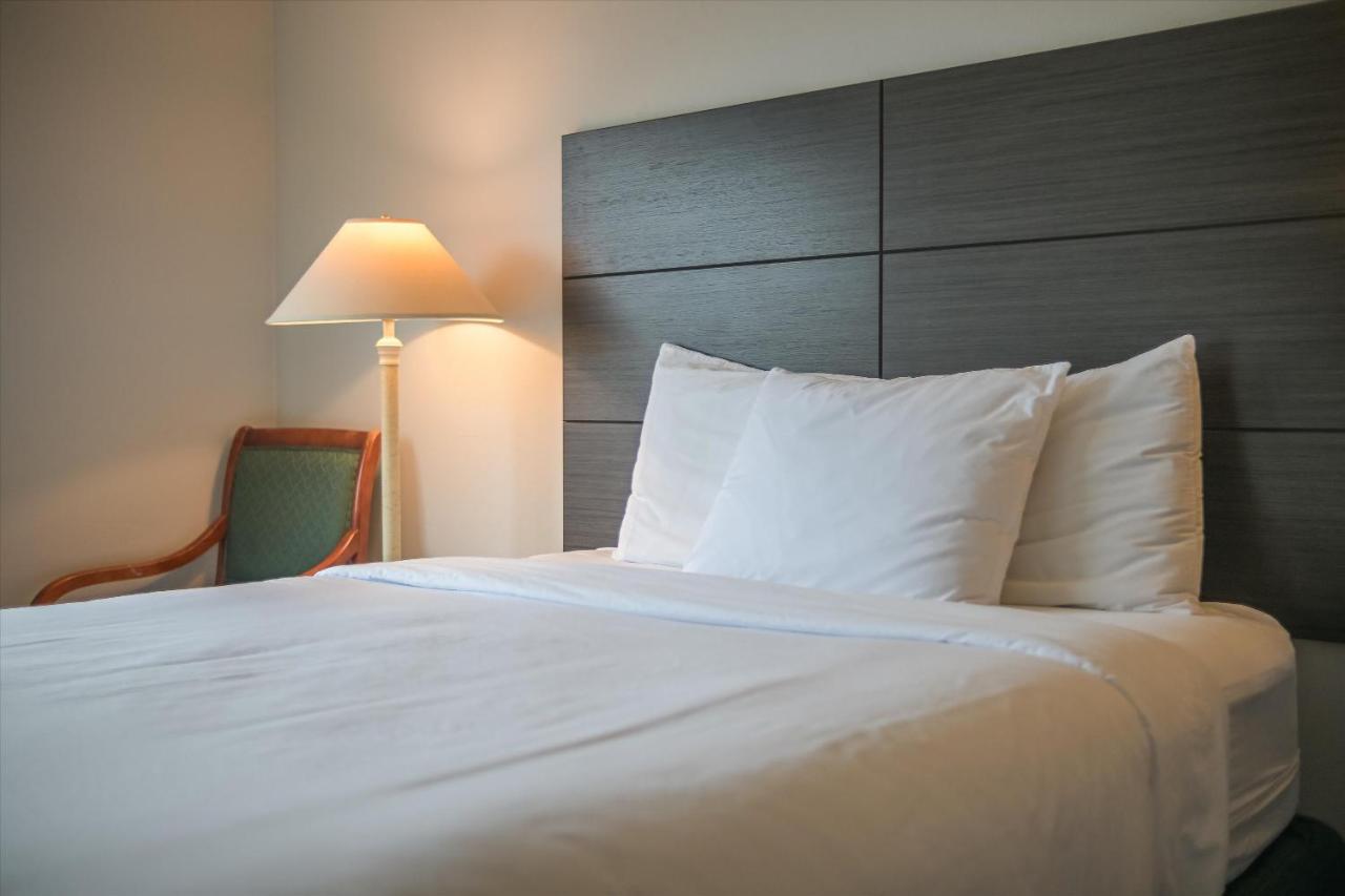 Queen Room - Non-Smoking at Baymont by Wyndham Bellingham