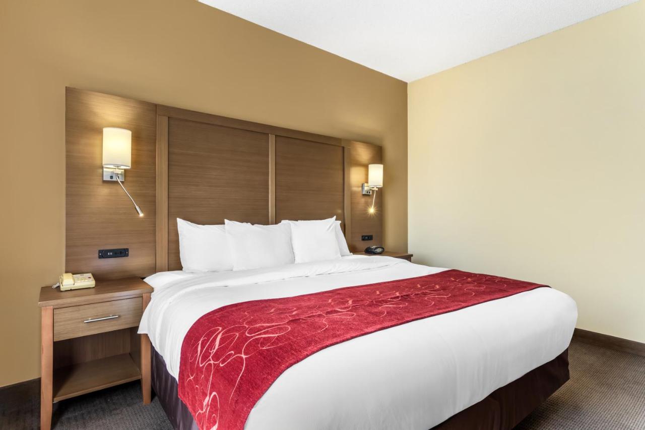 King Suite at Comfort Suites Bush Intercontinental Airport
