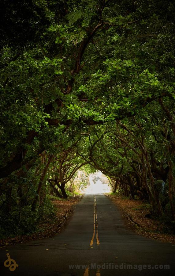 | Open Gate Hostel Hawaii