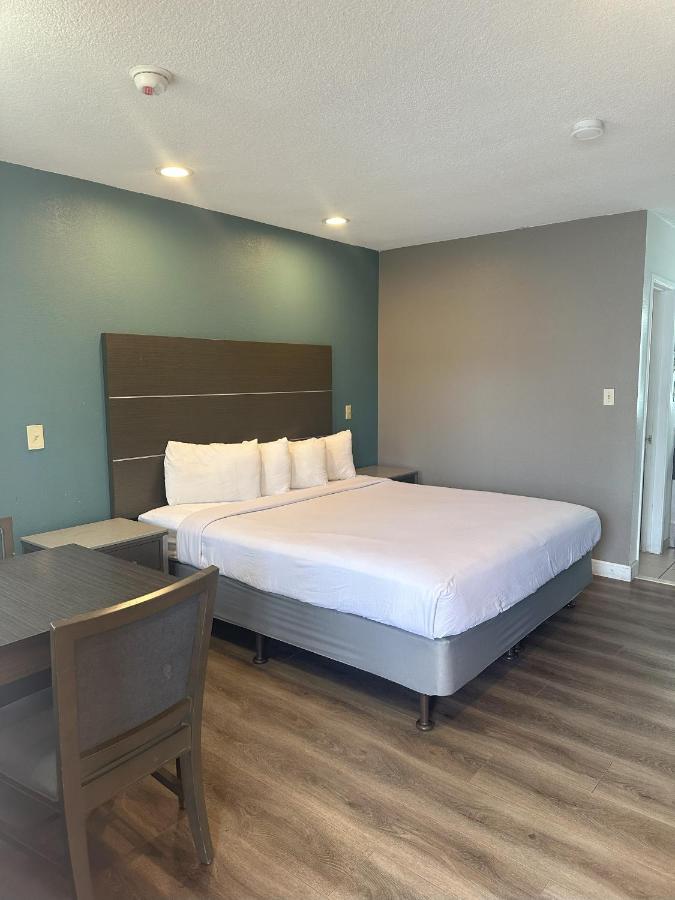Large Single Room at Hotel Palmeras Chula Vista