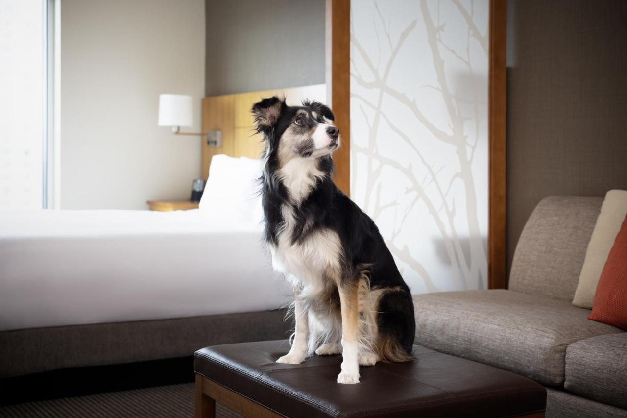 King Room with Sofa Bed and Mountain View at Hyatt Place Denver Downtown