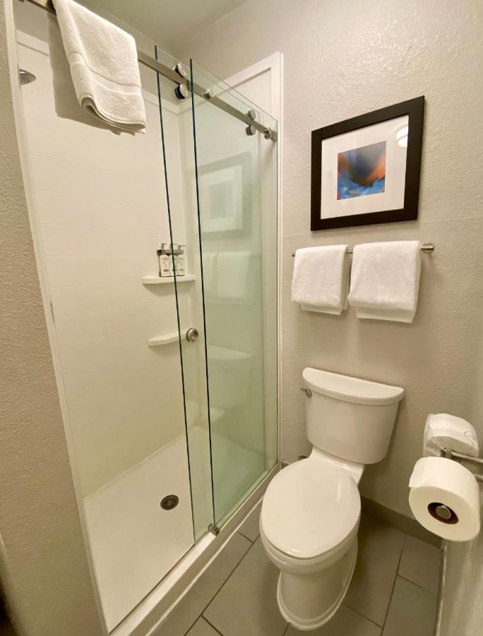 King Suite with Spa Bath - Non-Smoking at Holiday Inn Express Metropolis by IHG