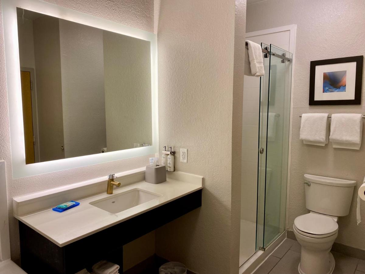 King Suite with Spa Bath - Non-Smoking at Holiday Inn Express Metropolis by IHG