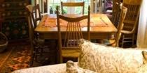 | Park Lane Guest House