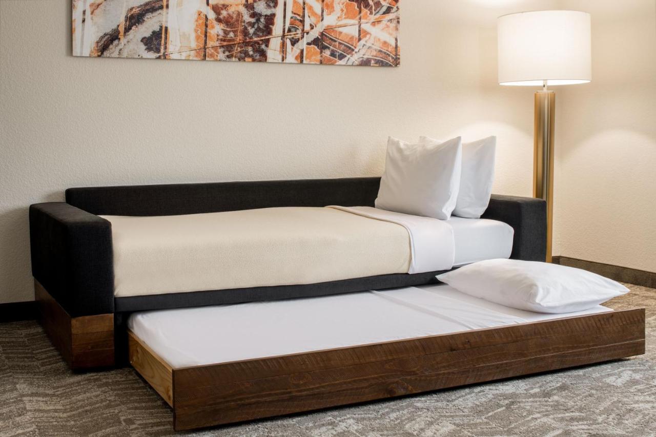 Queen Studio with Sofa Bed at SpringHill Suites by Marriott Portland Airport