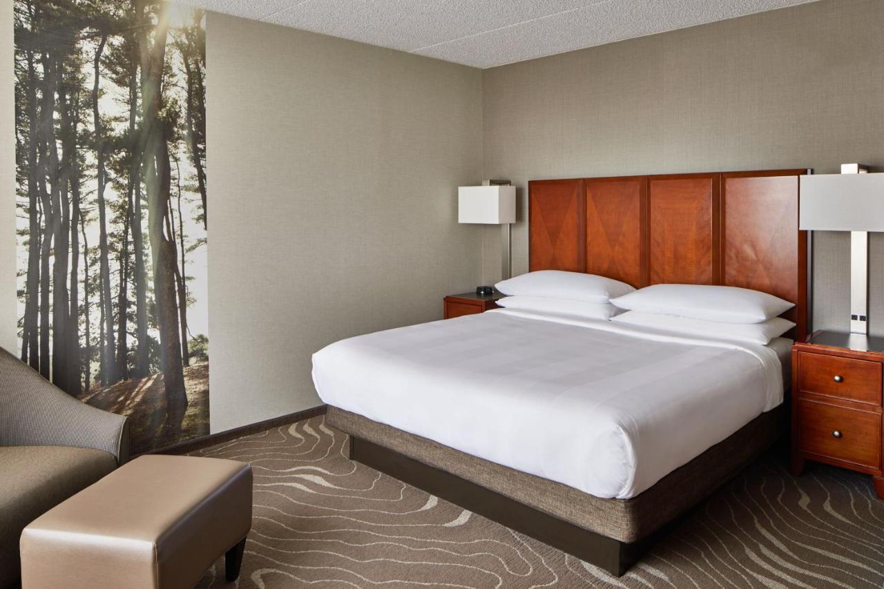King Room at Detroit Metro Airport Marriott