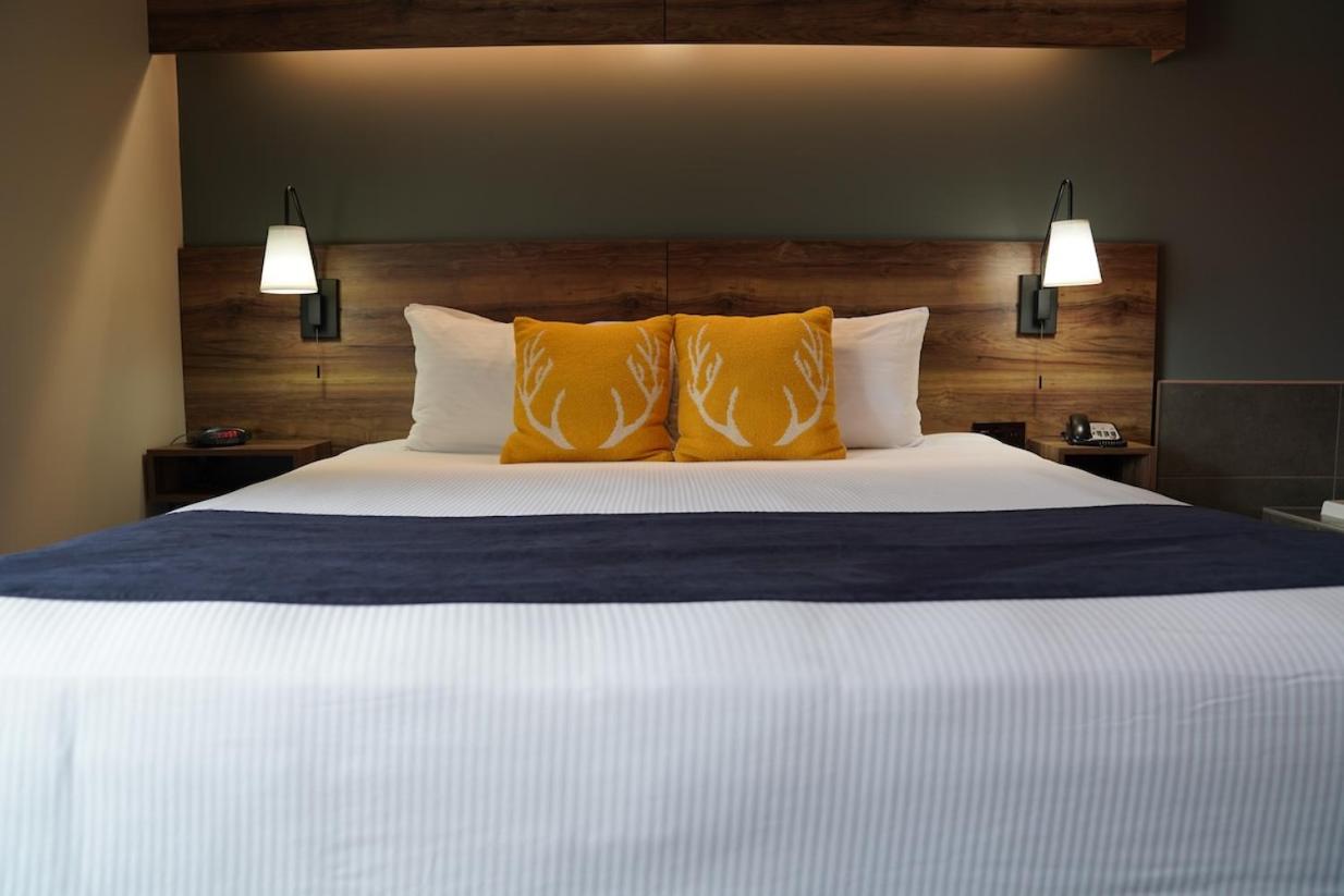 Junior Suite at Hotel Ruby Ponderay/Sandpoint