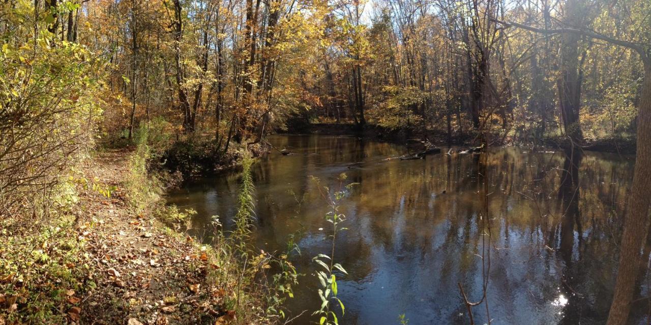 | Goldberry Woods- A Modern Farm Resort