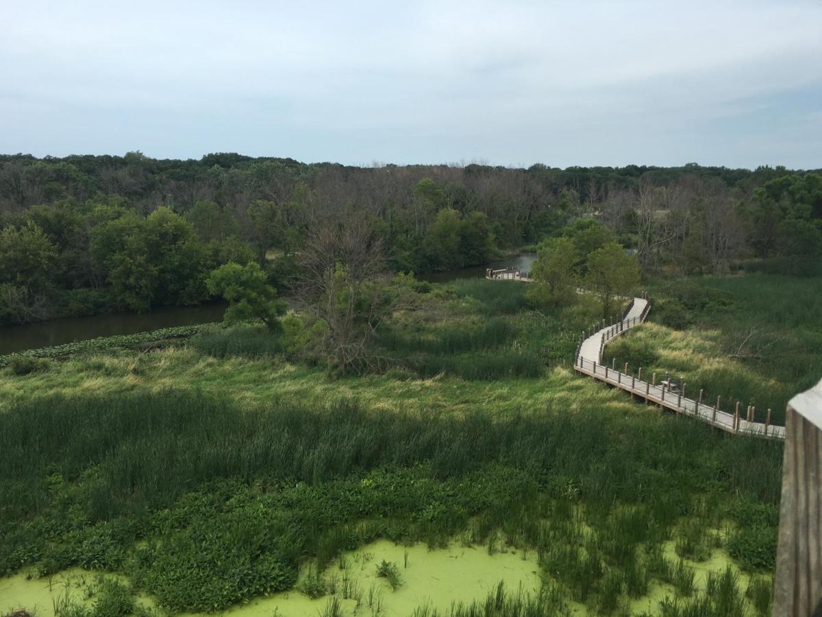 | Goldberry Woods- A Modern Farm Resort