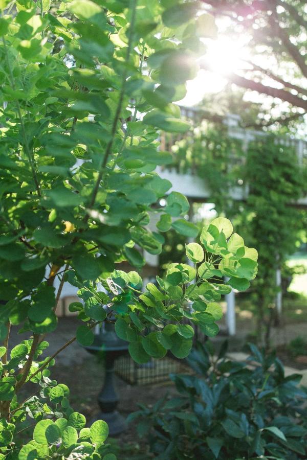 | Orchard House Bed and Breakfast