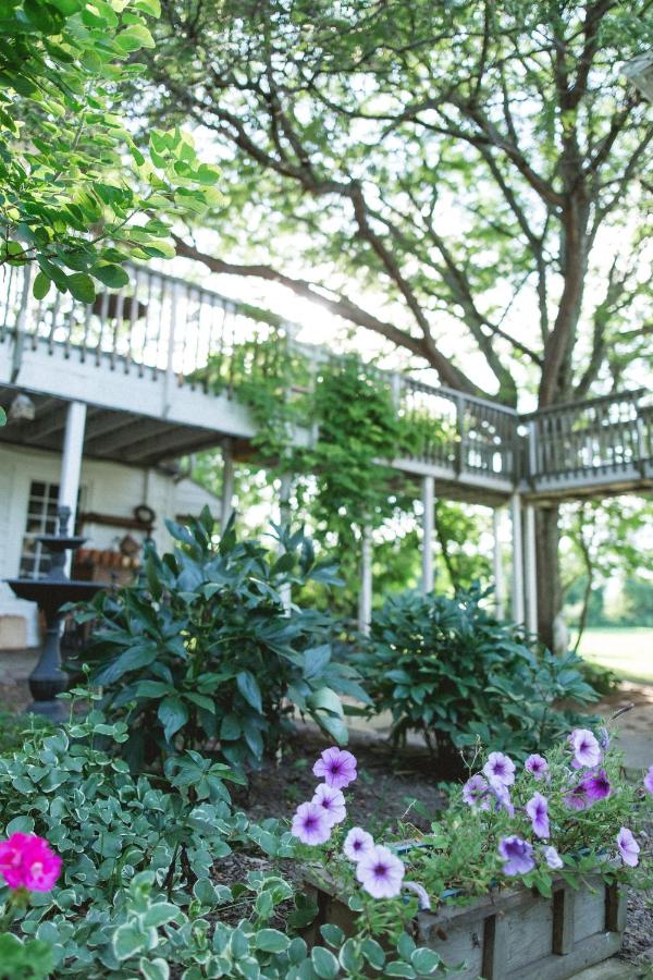  | Orchard House Bed and Breakfast