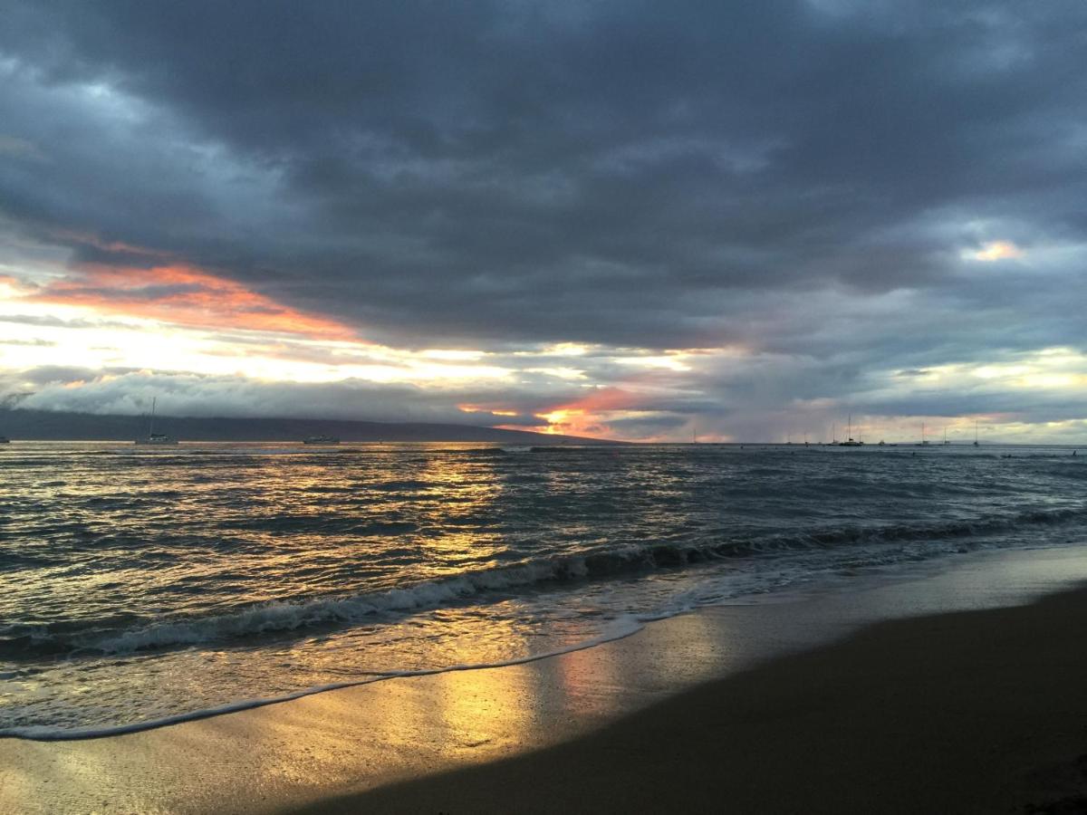 | Tiki Beach Hostel-At The Beach in Lahaina
