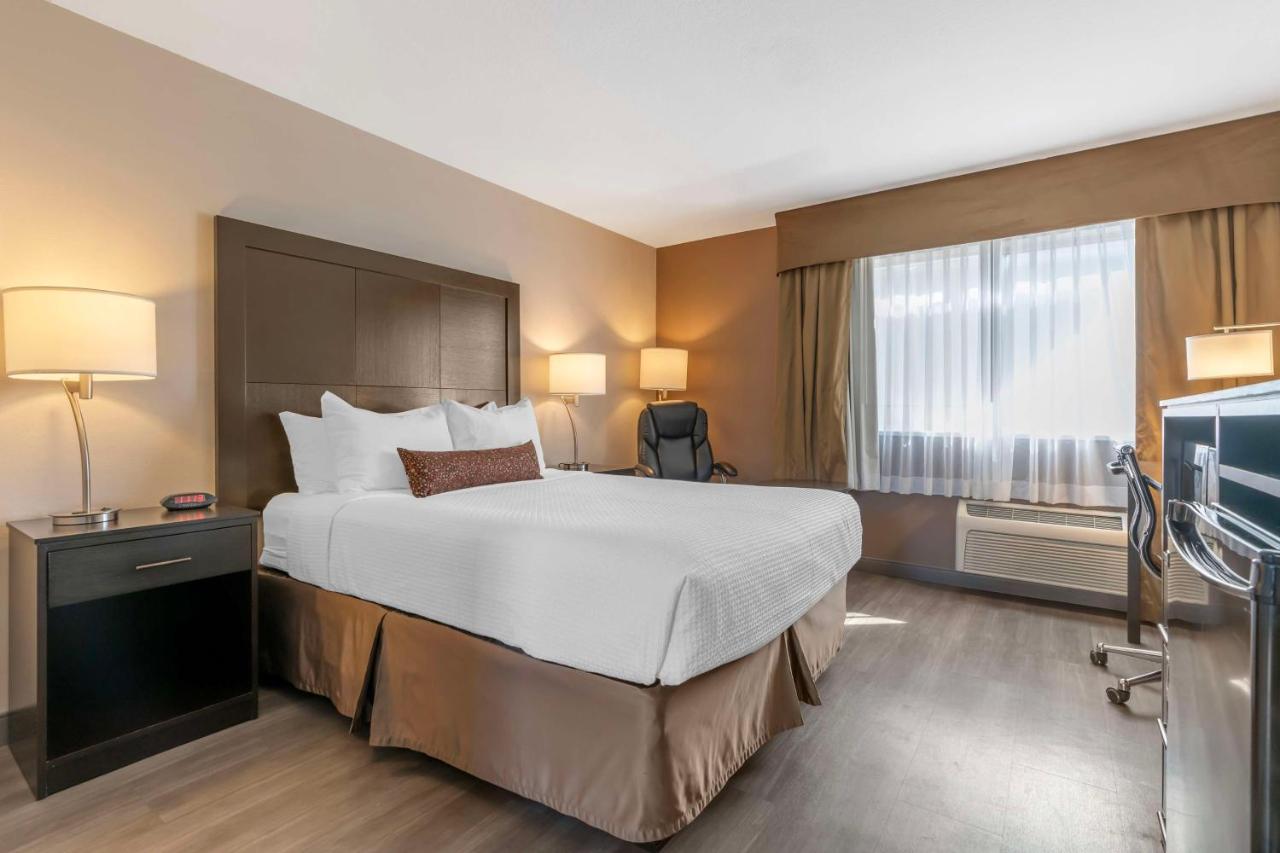 Queen Room - Mobility Accessible/Non-Smoking at Best Western Inn Of Vancouver