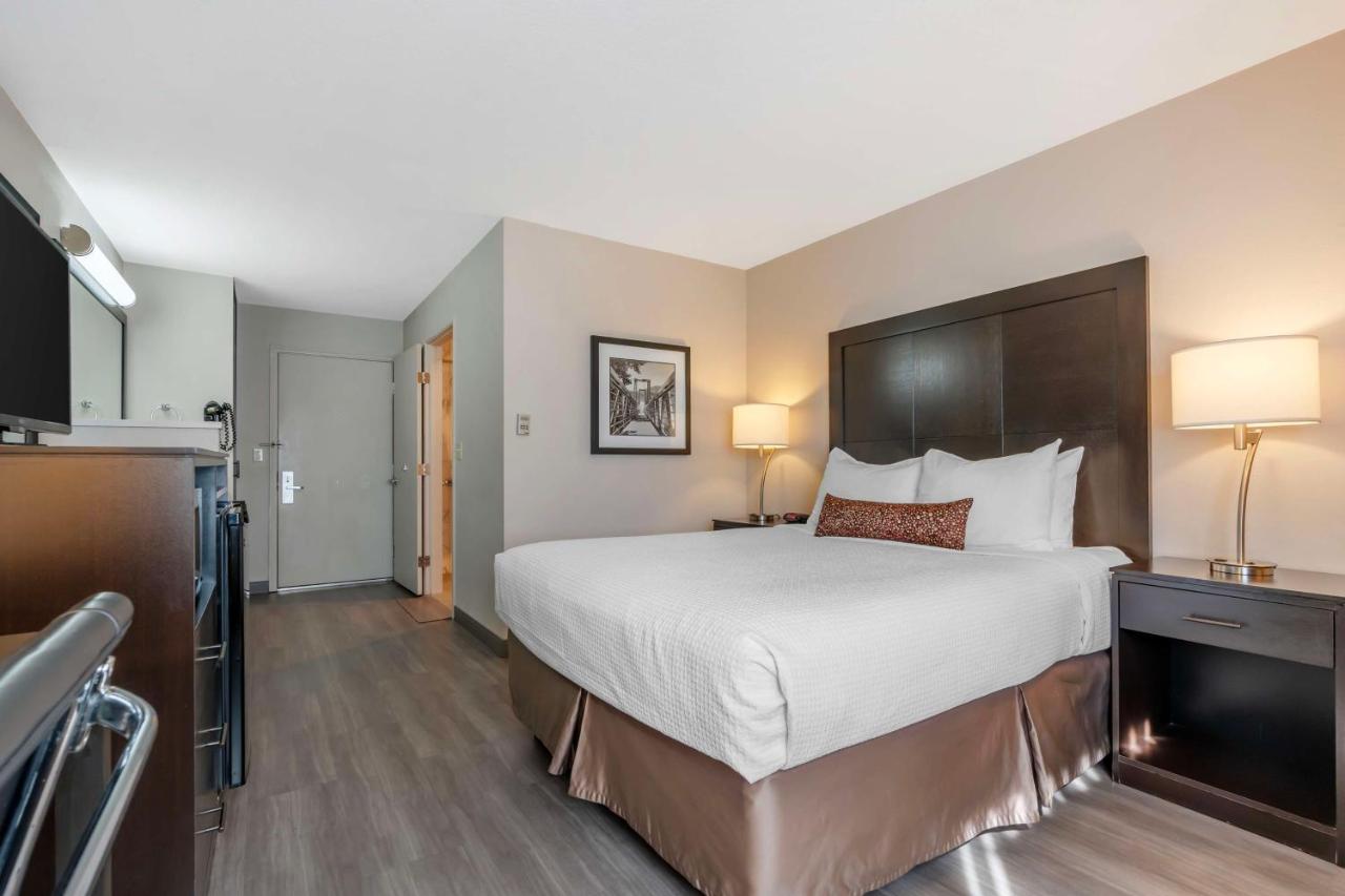 Queen Room - Mobility Accessible/Non-Smoking at Best Western Inn Of Vancouver