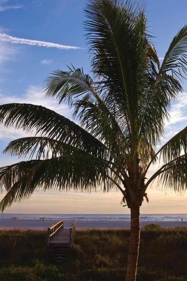 | Residence Inn by Marriott St. Petersburg Treasure Island