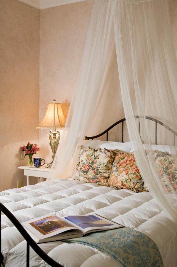| Hampton Terrace Inn