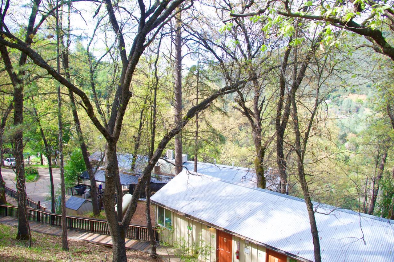 | Yosemite Bug Rustic Mountain Resort