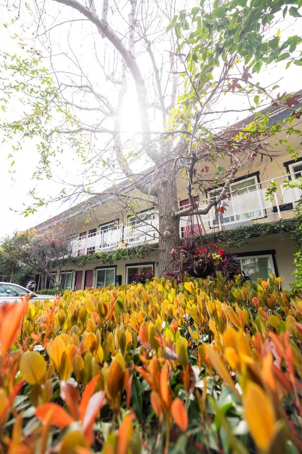| Alamo Inn and Suites - Convention Center