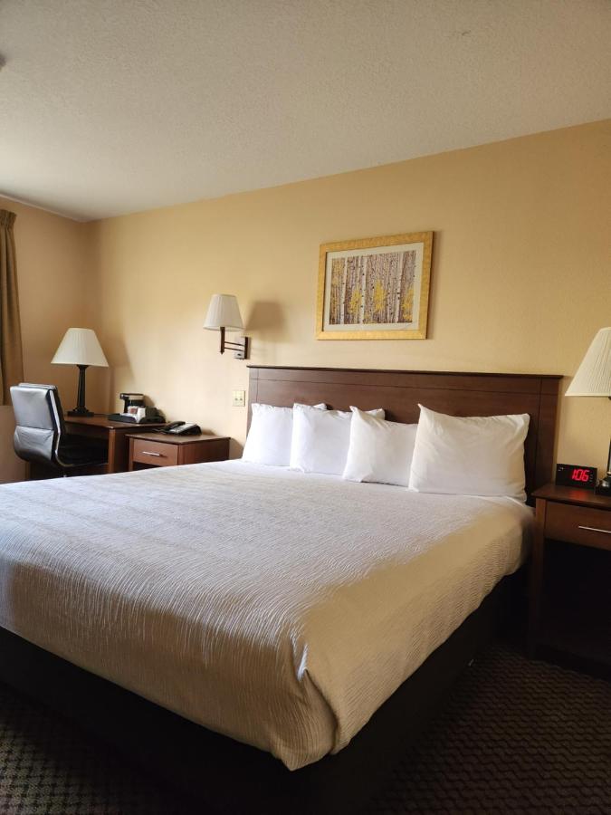 Standard King Room at Luxury Inn & Suites