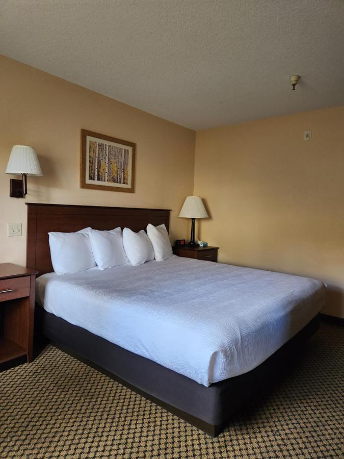Standard King Room at Luxury Inn & Suites
