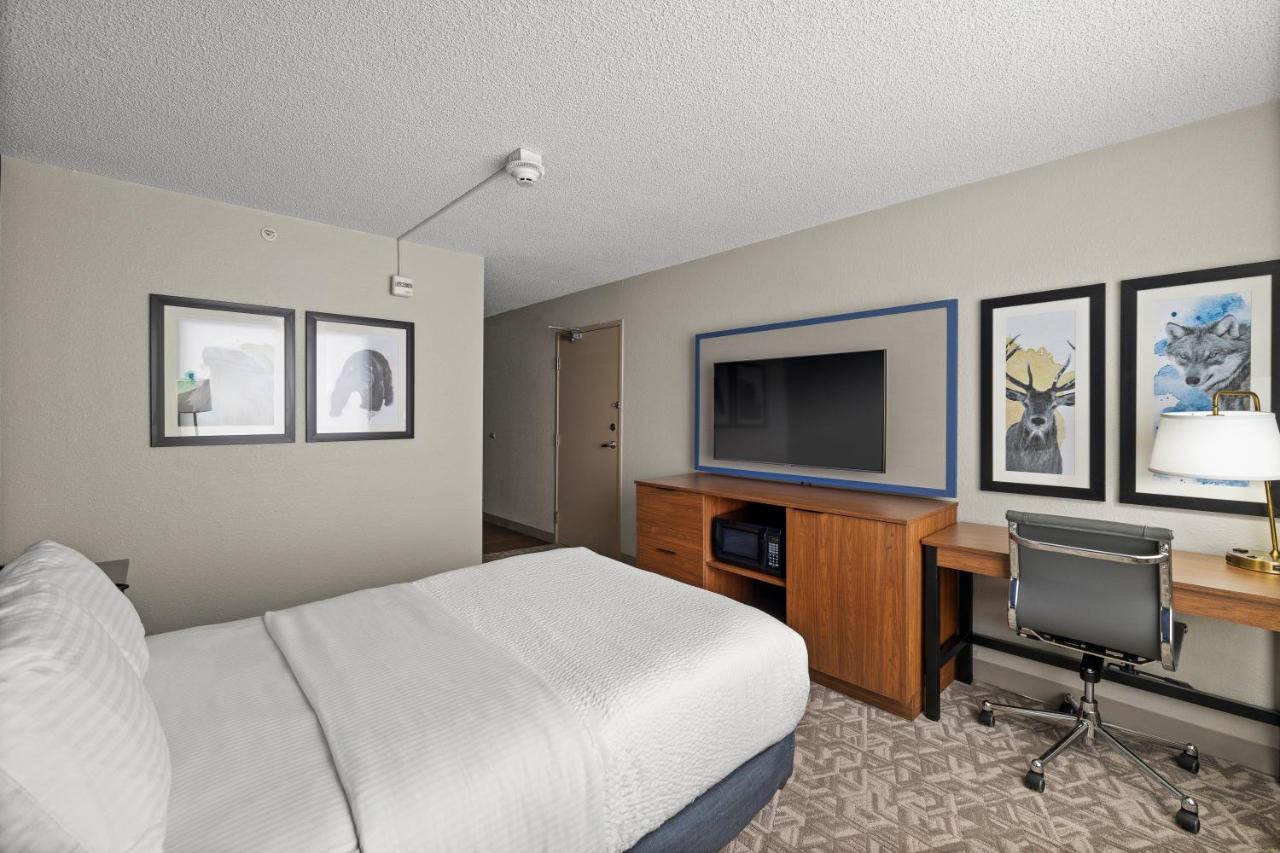 Double Room - Disability Access at AmericInn by Wyndham Casper Event Center Area