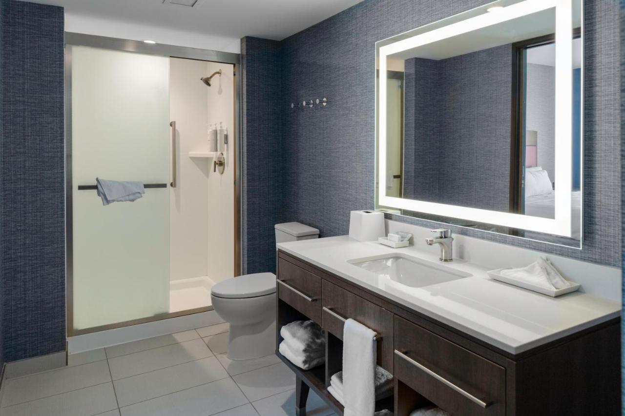 King Studio Suite - Non Smoking at Home2 Suites by Hilton Northville Detroit
