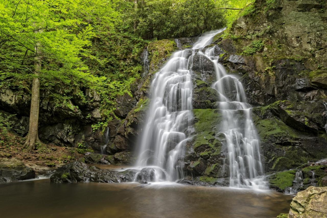 | Pigeon Forge Escape