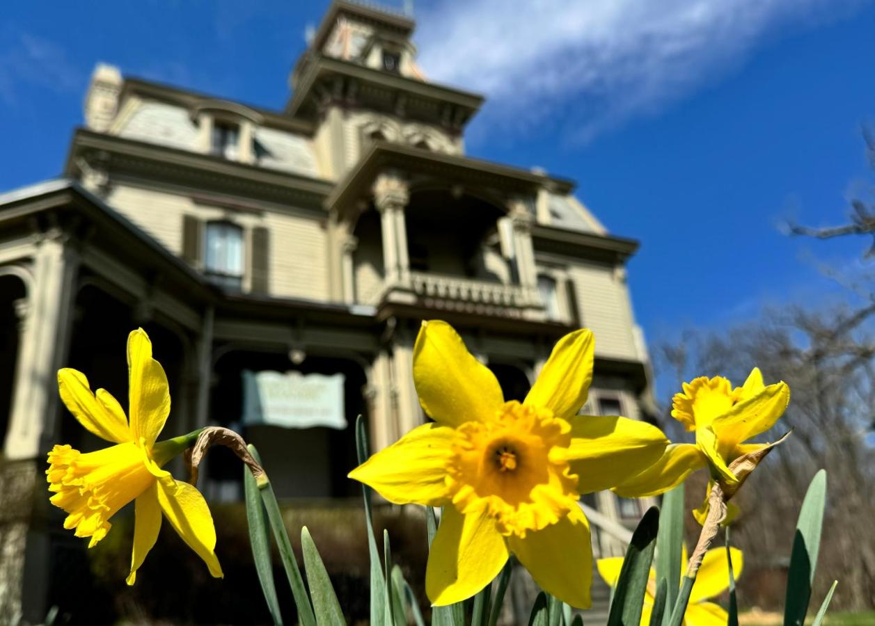 | Garth Woodside Mansion Bed and Breakfast