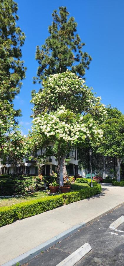 | Laguna Hills Lodge-Irvine Spectrum