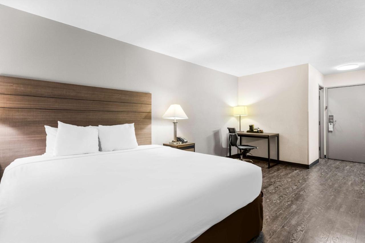 King Room at SureStay Hotel by Best Western Albuquerque Midtown