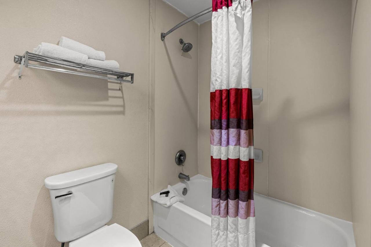 Superior King Room Non-Smoking at Red Roof Inn & Suites Albany, GA