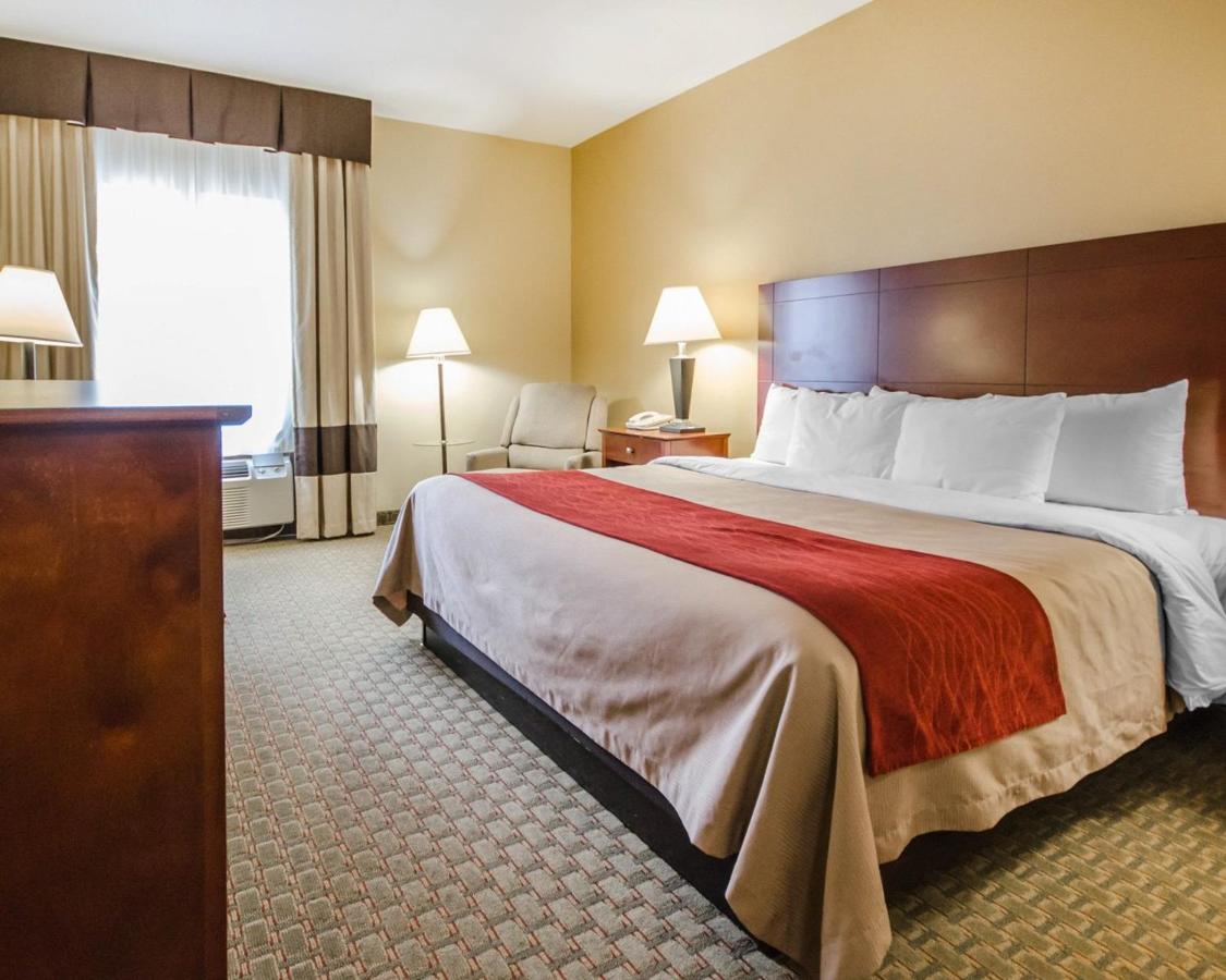 King Room - Disability Access/Non-Smoking at Comfort Inn Henderson - Evansville South