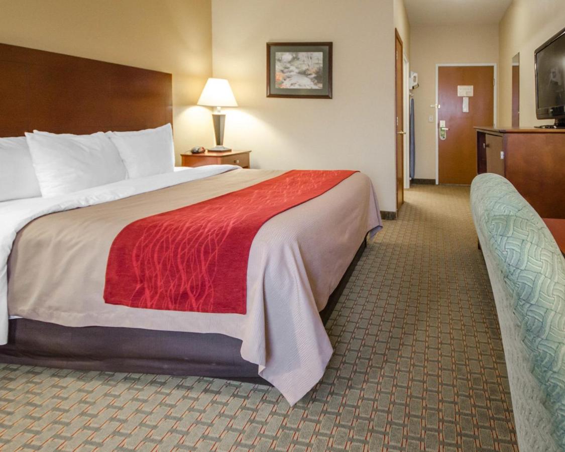 King Room - Disability Access/Non-Smoking at Comfort Inn Henderson - Evansville South