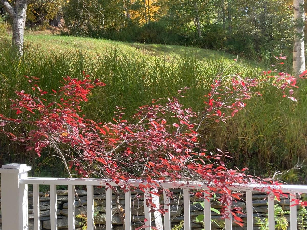 | Deerhill Inn