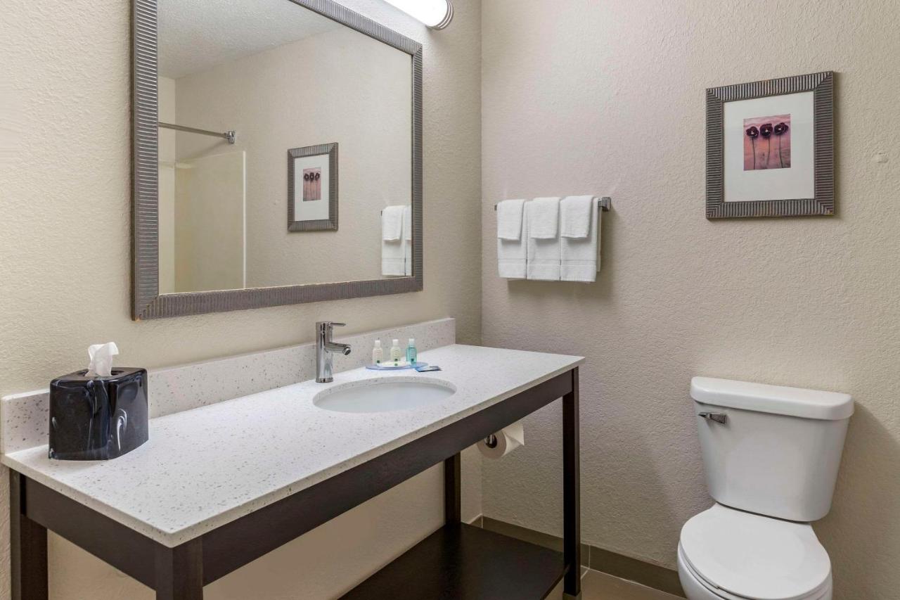 King Room - Non-Smoking at Quality Inn & Suites
