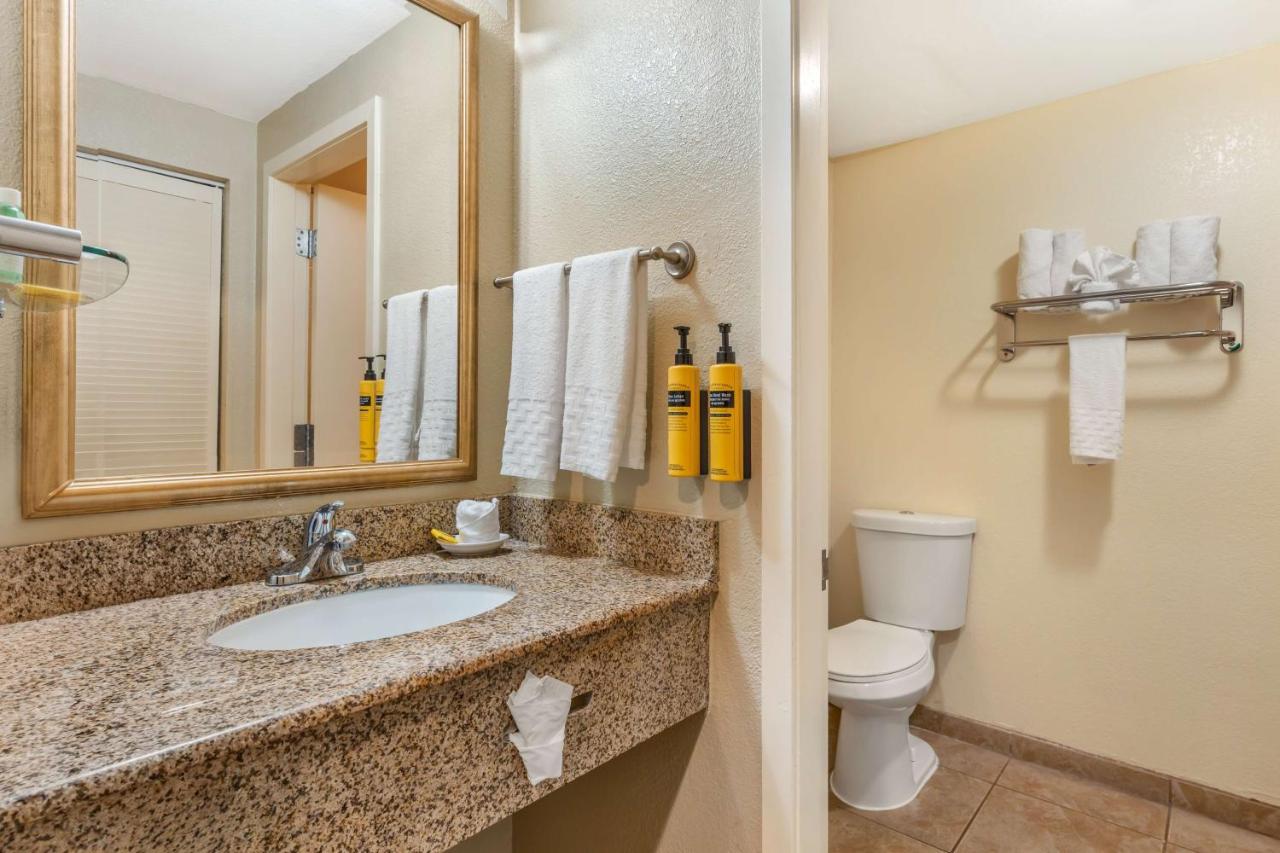 Deluxe King Room - Non-Smoking at Best Western Plus Wine Country Inn & Suites