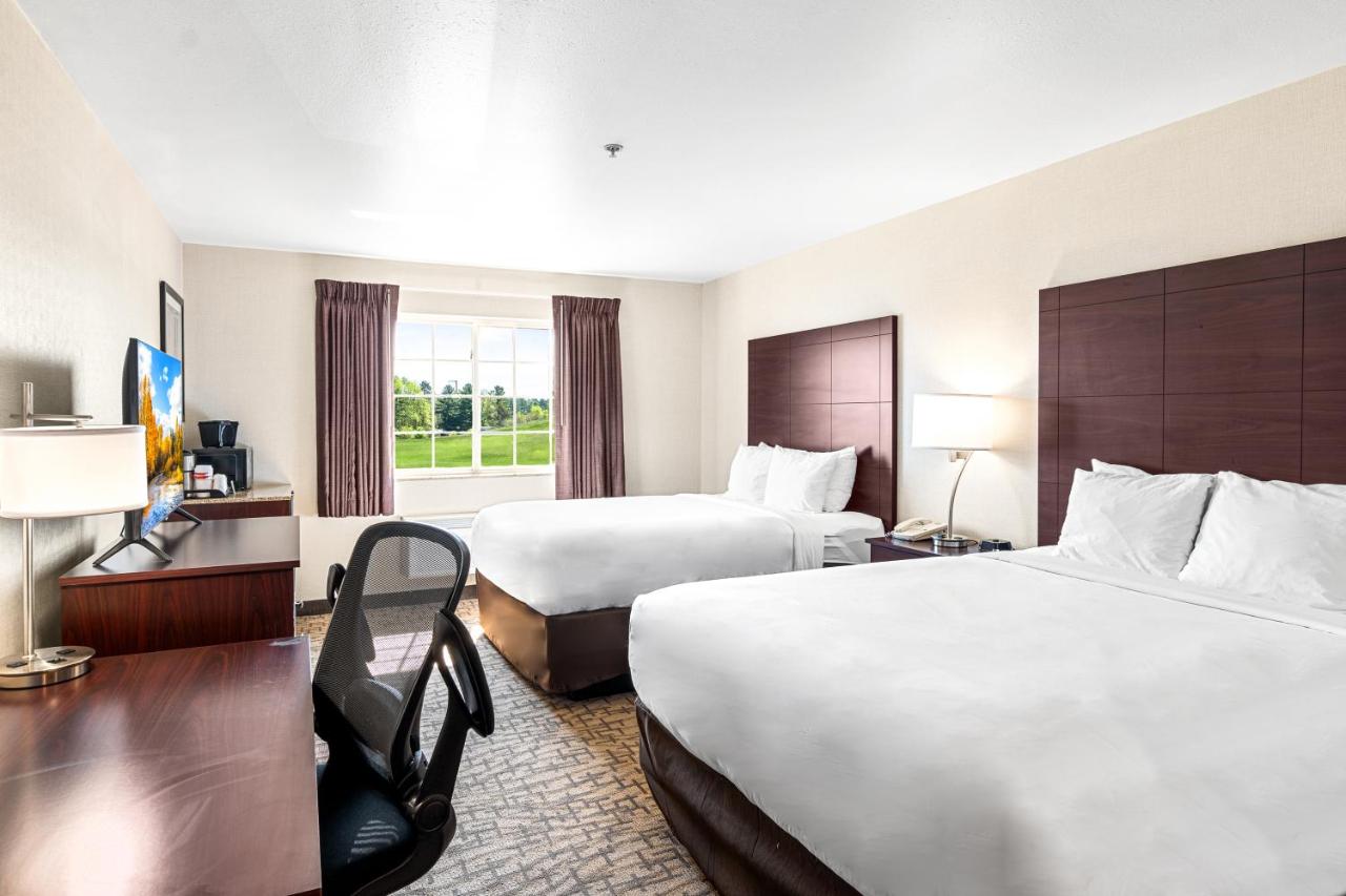 Queen Room with Two Queen Beds - Non-Smoking at Boarders Inn & Suites by Cobblestone Hotels - Shawano