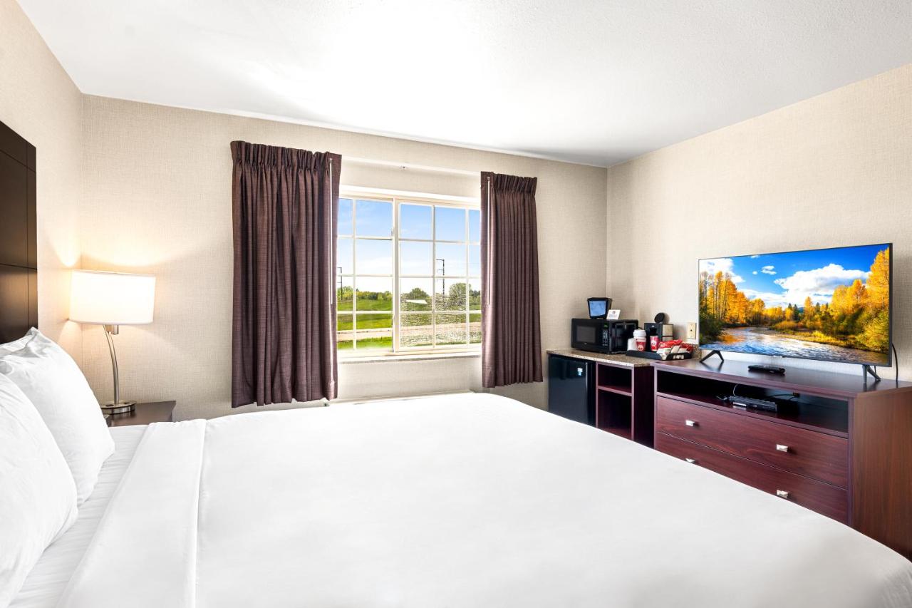 King Suite - Non-Smoking at Boarders Inn & Suites by Cobblestone Hotels - Shawano