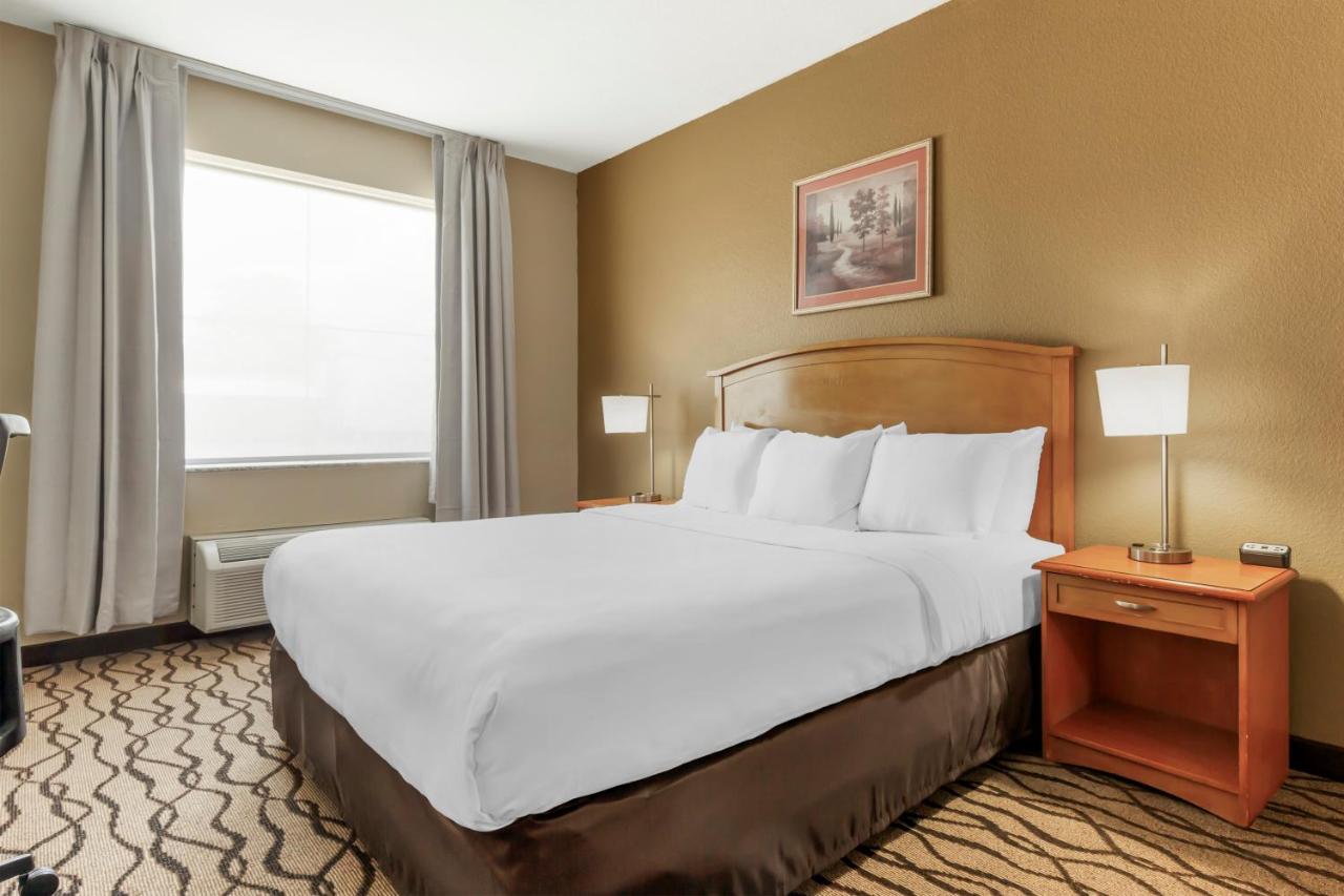 King Suite - Non-Smoking at Comfort Inn & Suites Chesapeake - Portsmouth