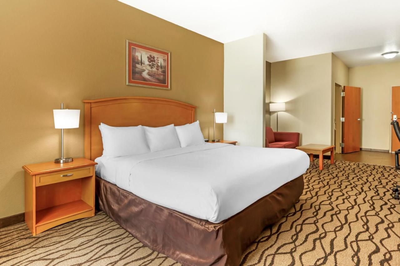 King Room at Comfort Inn & Suites Chesapeake - Portsmouth