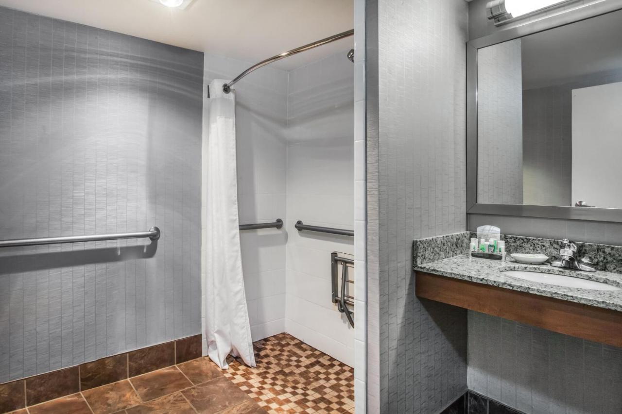 King Room with Roll-in Shower - Disability Access/Non-Smoking at Holiday Inn Saratoga Springs, an IHG Hotel