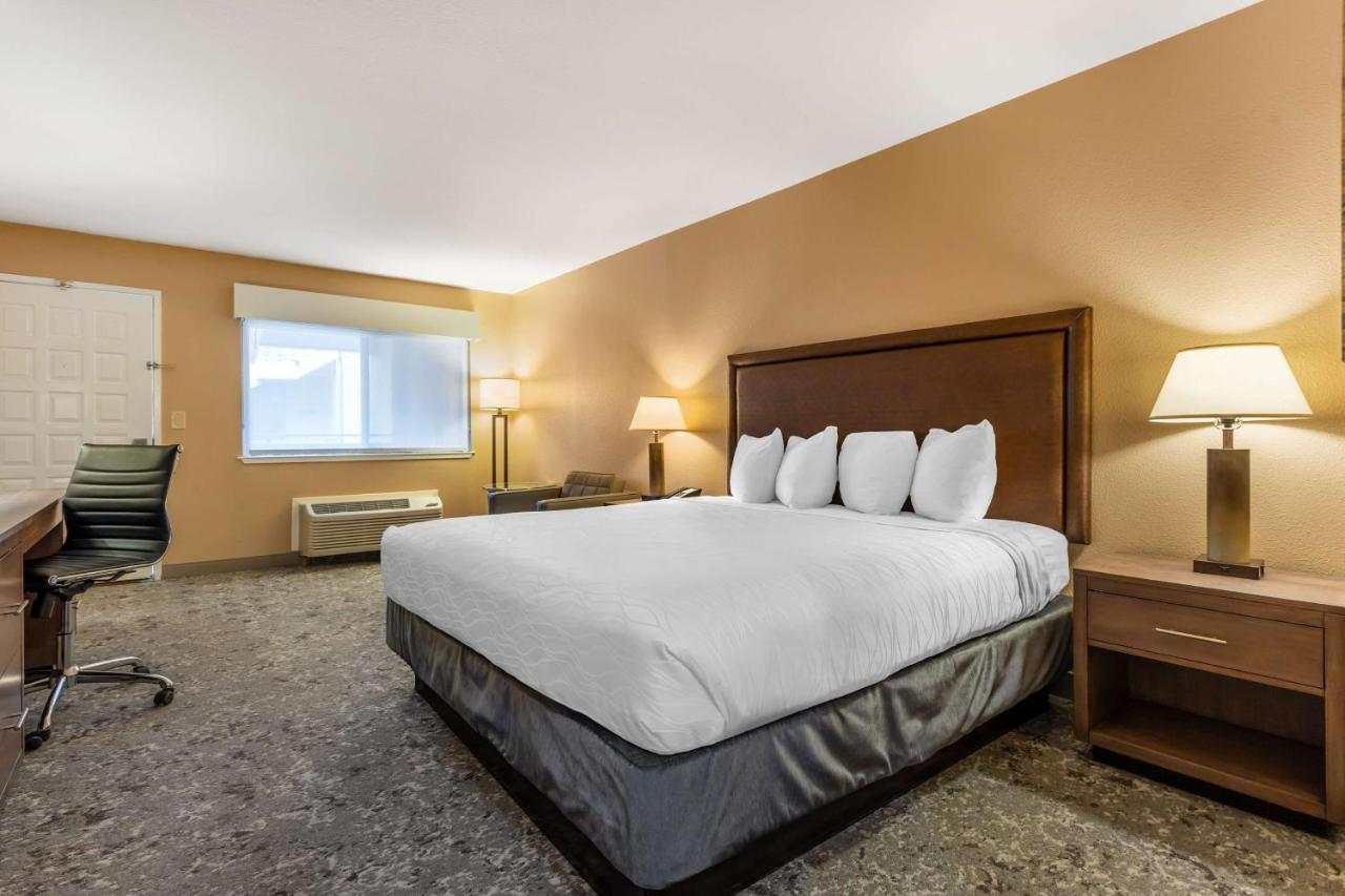 Junior Suite - Non Smoking at Best Western Plus Inn Scotts Valley
