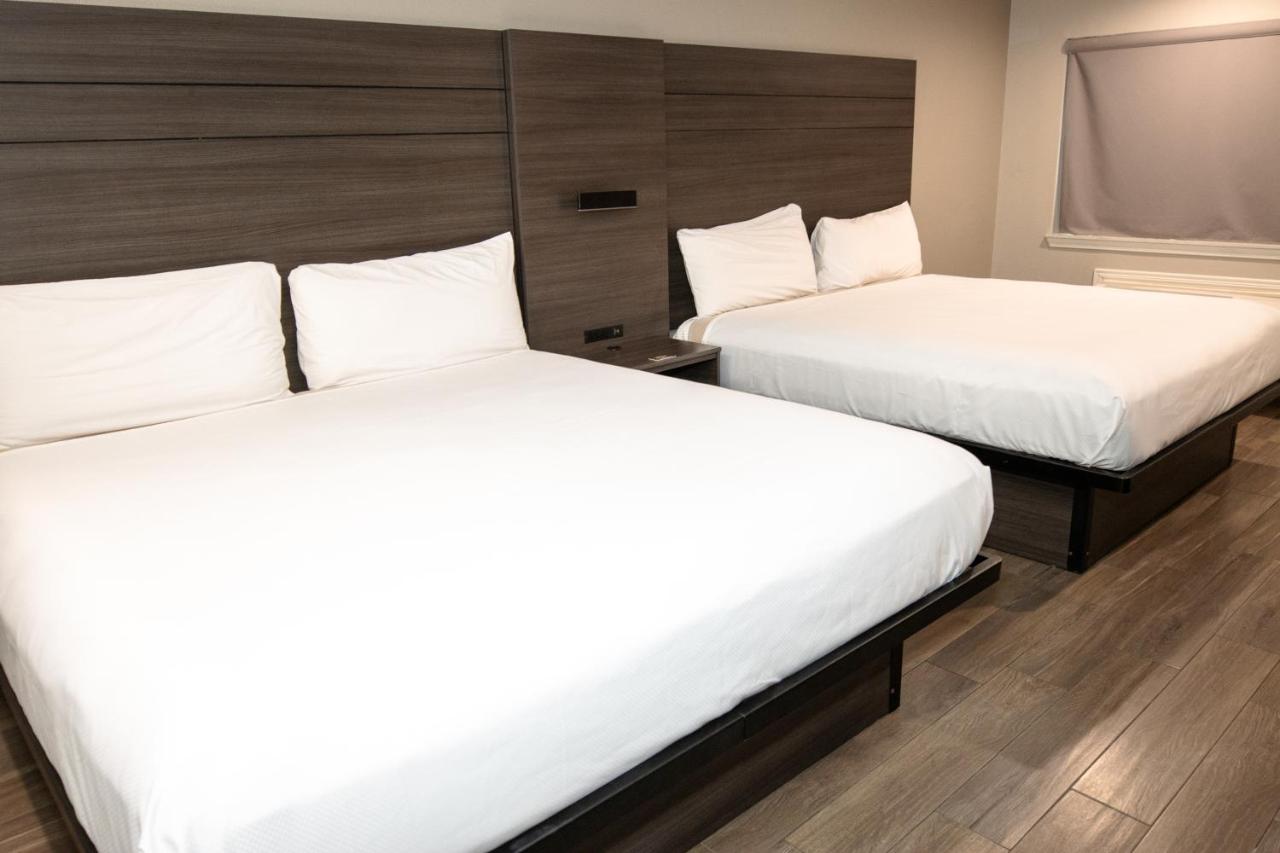 Superior Double Room at Americas Best Value Inn Harlingen