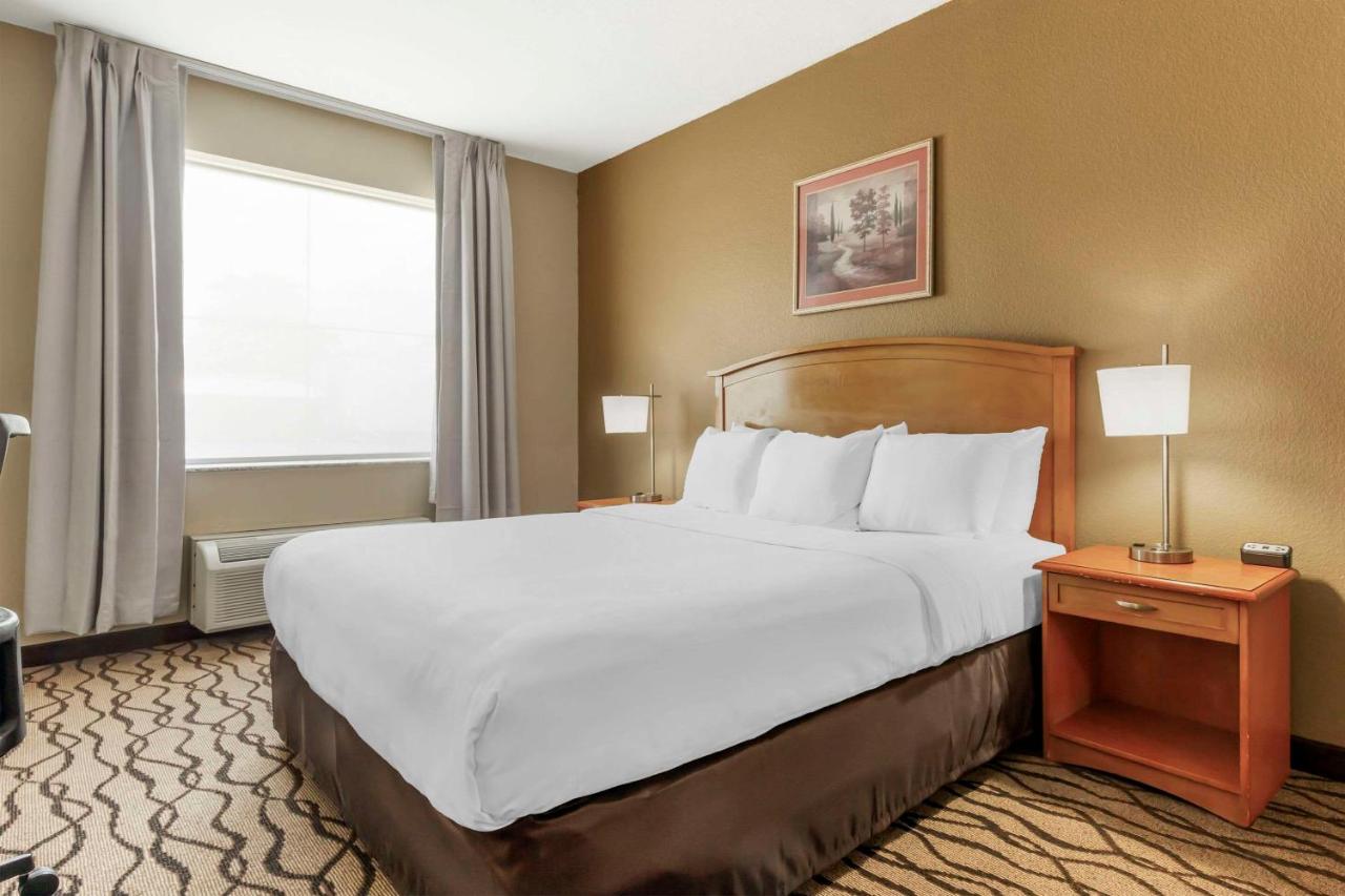 King Room at Comfort Inn & Suites Chesapeake - Portsmouth