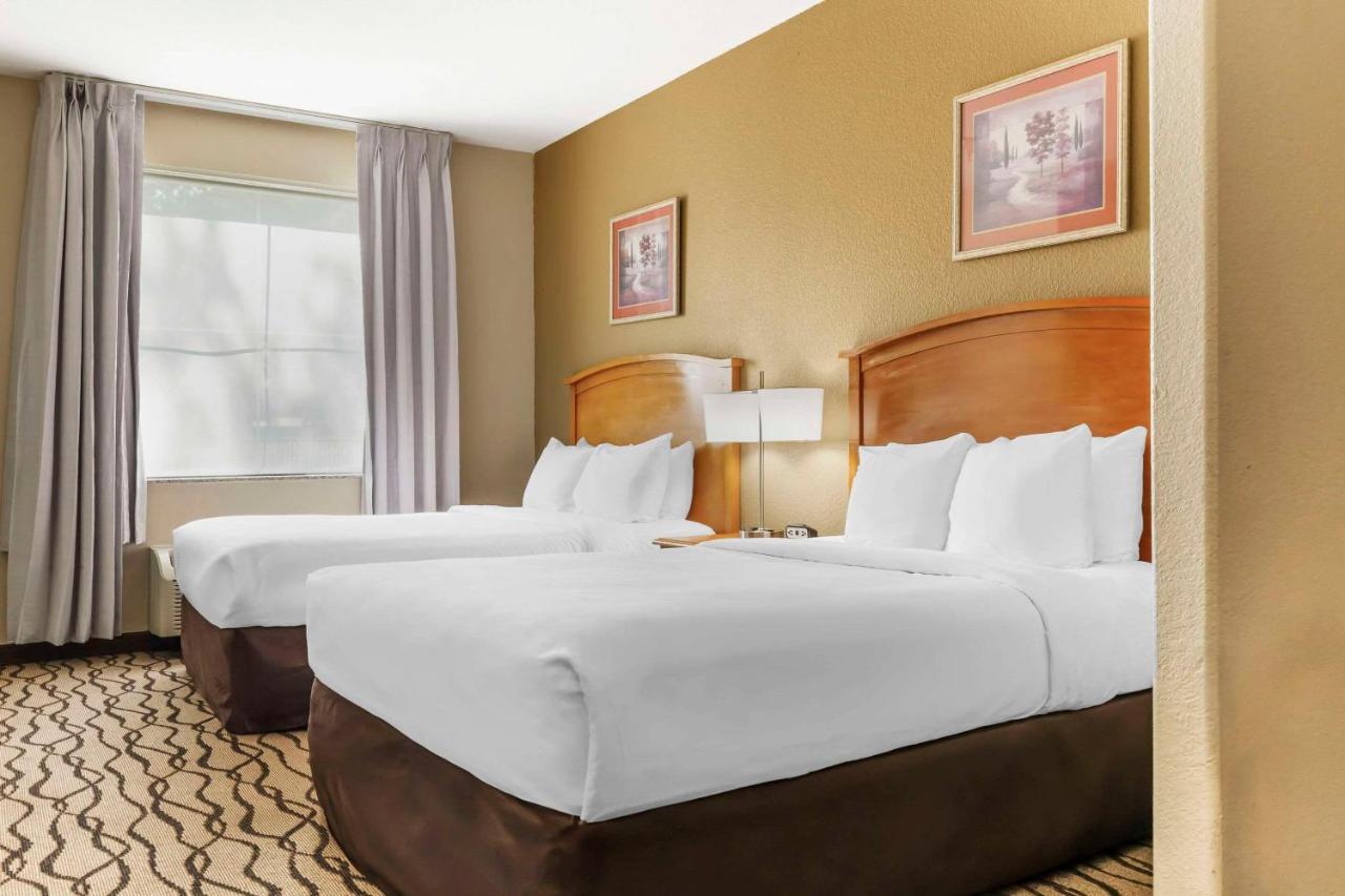Suite 2 Queen Beds Sofabed Non Smoking at Comfort Inn & Suites Chesapeake - Portsmouth