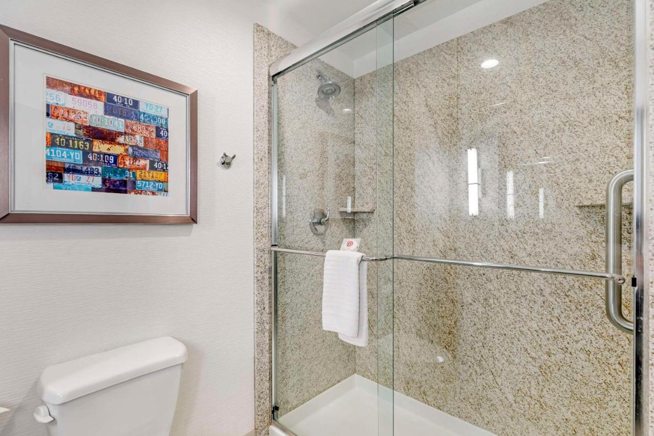 King Suite - Non-Smoking at Comfort Inn & Suites Brighton Denver NE Medical Center