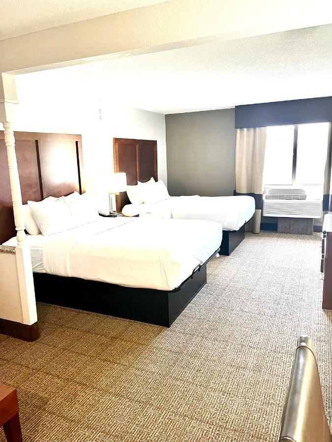 Queen Suite with Two Queen Beds - Non-Smoking at Comfort Inn & Suites Jackson