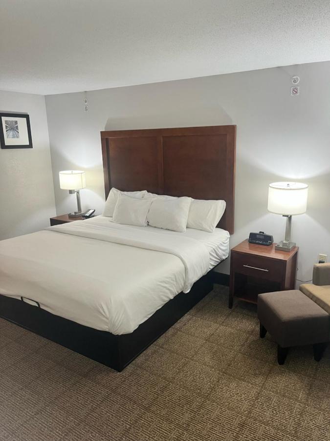 King Room - Accessible/Non-Smoking at Comfort Inn & Suites Jackson