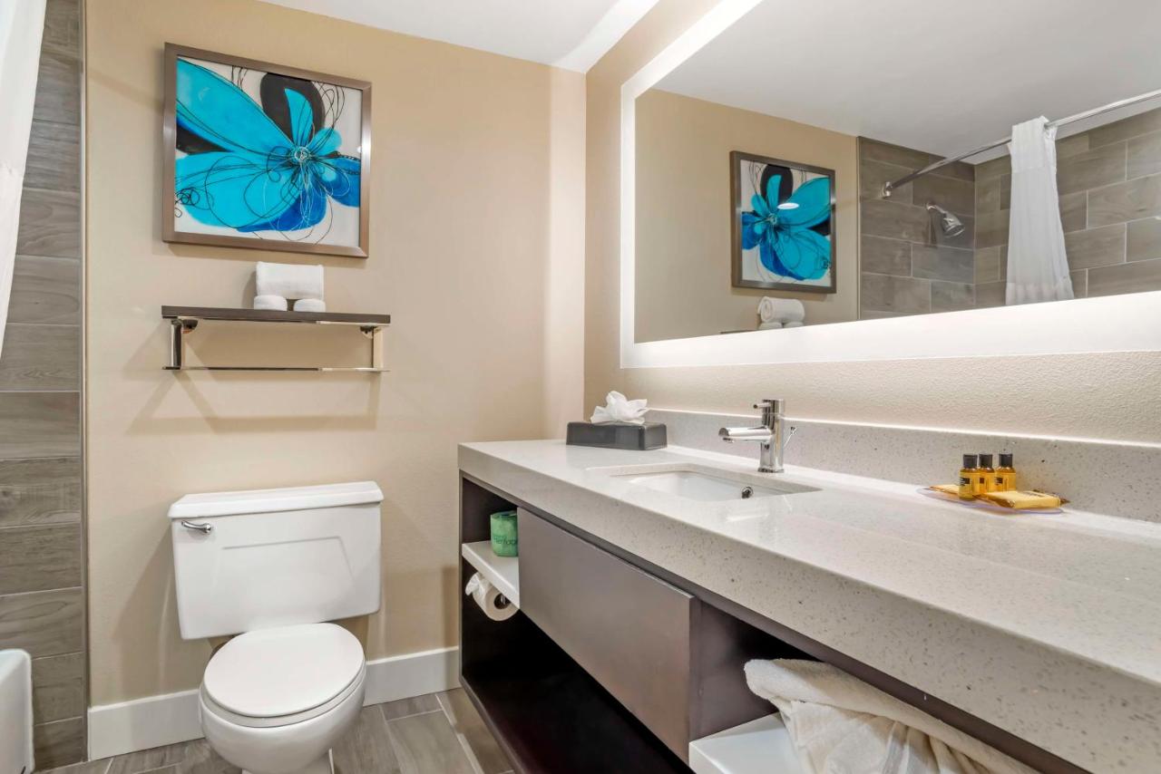 King Suite with Sofa Bed at Best Western Plus Greenville I-385 Inn & Suites