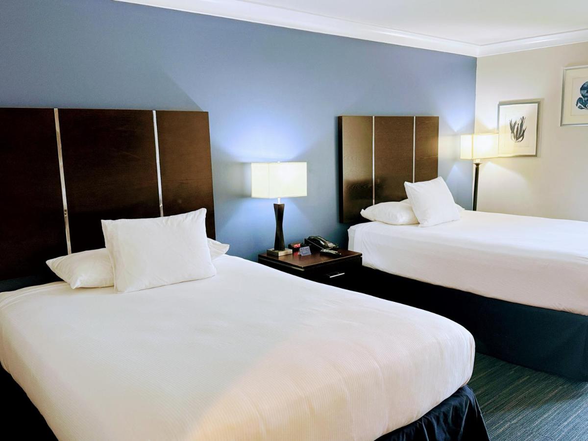 Executive Two Queen Room with Balcony at The Pacific Inn
